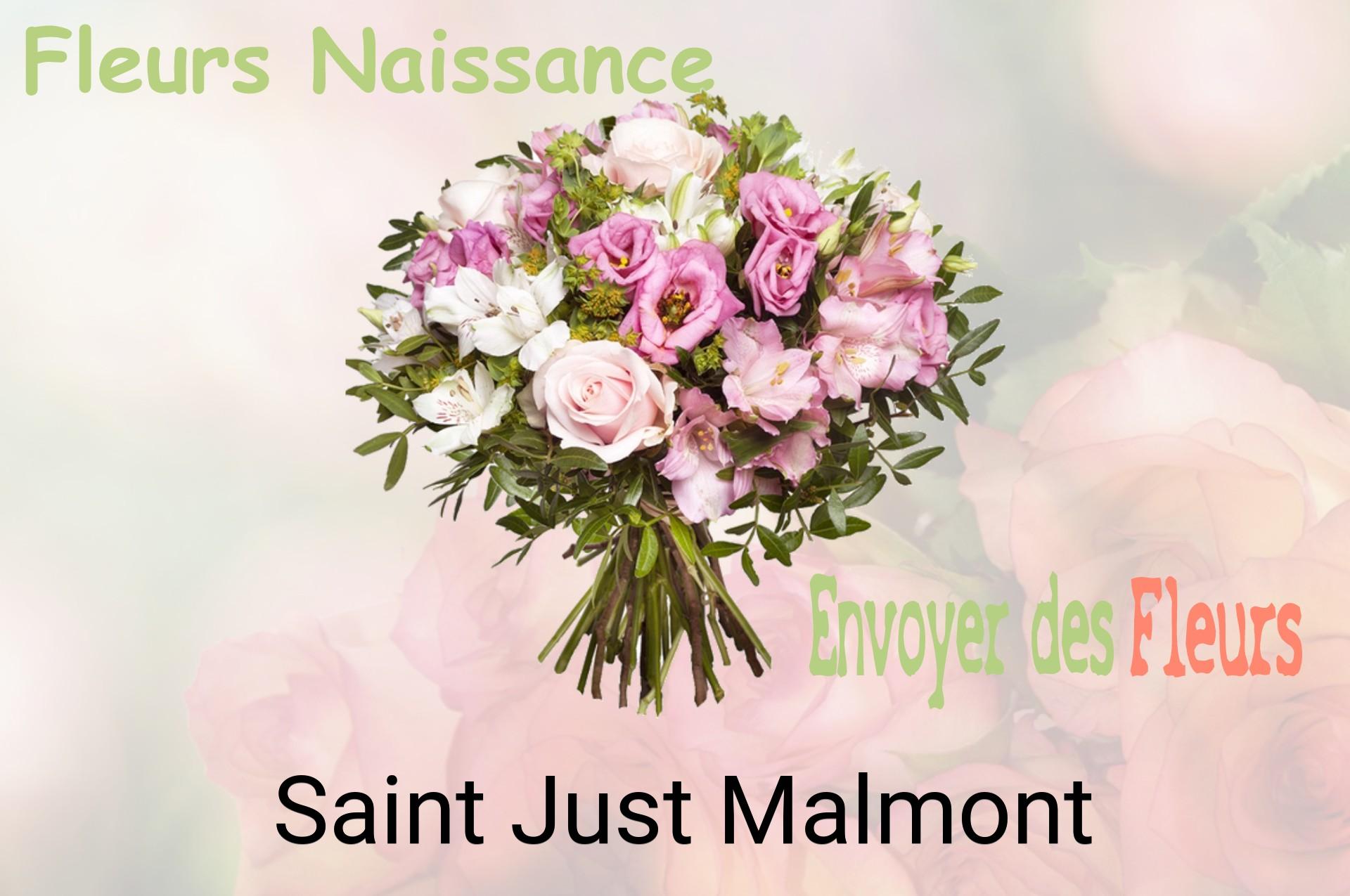 Bouquet de fleurs de naissance livré à Saint-Just-Malmont